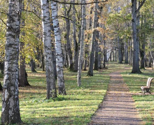 Arkna mõisa tagapargis saab jalutada ja seal asub ka endise mõisavalitseja auks paigaldatud Aleksander Mägi nimeline pink Arkna mõisa tagapargis saab jalutada ja seal asub ka endise mõisavalitseja auks paigaldatud Aleksander Mägi nimeline pink